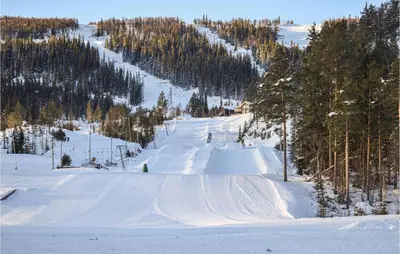 a snow covered ski slope with trees on a mountain at Stunning Home In Uvdal With Wifi in Uvdal