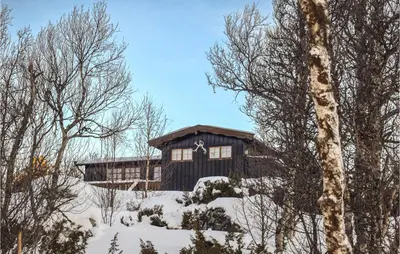 a log cabin in the snow with trees at Stunning Home In Uvdal With Wifi in Uvdal