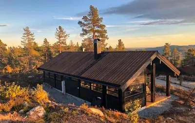 a small cabin with a brown roof in a forest at Beautiful Home In Flå With Kitchen in Flå