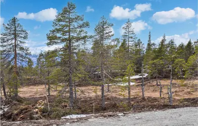 a group of trees on the side of a road at Beautiful Home In Flå With Kitchen in Flå
