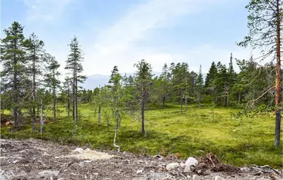 a grassy field with trees in the background at Beautiful Home In Flå With Kitchen in Flå