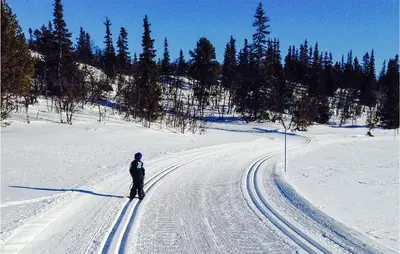 a person is cross country skiing in the snow at 4 Bedroom Lovely Home In Ål in Ål