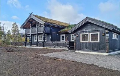a large black house with a grass roof at Stunning Home In Hovden I Setesdal in Hovden
