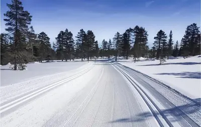 an empty road in the snow with trees at Awesome Home In Hønefoss With Wifi in Hønefoss