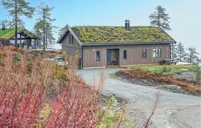 a house with a grass roof with a picnic table at Awesome Home In Hønefoss With Wifi in Hønefoss