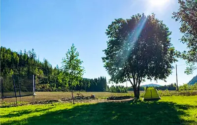 a tree in the middle of a field with a goal at Nice Home In Beitstad With Kitchen in Sunnan