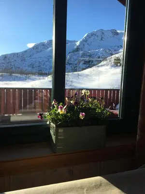 a window with a potted plant on a window sill at Reinunga Eco Hytta - Mountain lodge near Myrdal accessible only by train or bike in Myrdal