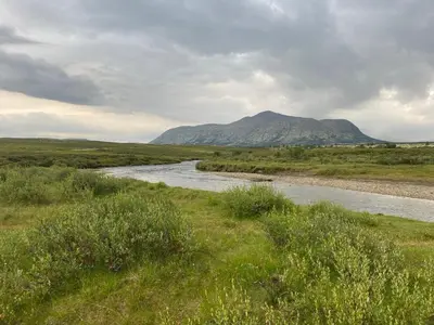 a river in a field with a mountain in the background at Trollvang, hytte med pool og sauna in Dovreskogen