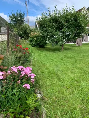 a garden with pink flowers in the grass at Tveitopark Apartments A in Rjukan