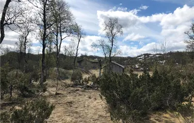 an old house in the middle of a field with trees at Amazing Home In Åmotsdal With Kitchen in Åmotsdal