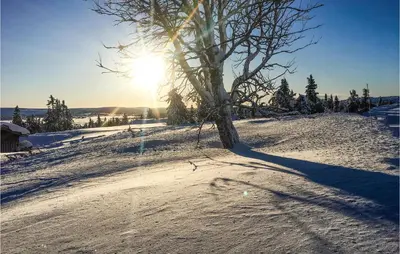 a tree in the snow with the sun in the background at Sjusjøvegen 1892 in Sjusjøen