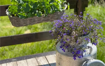 a planter with purple flowers and two baskets of plants at Nice Home In Vinstra With Kitchen in Vinstra