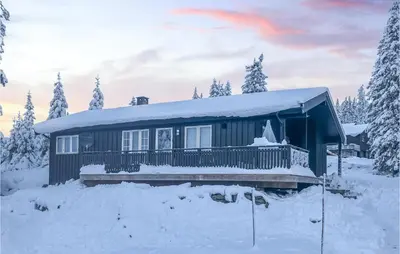 a house is covered in snow with trees at Gorgeous Home In Lillehammer With Wifi in Lillehammer