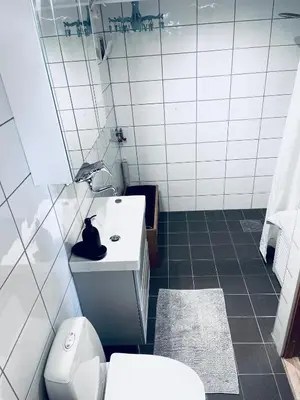 a bathroom with a black cat sitting on a sink at Floien City House -free parking in Bergen