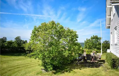 a large tree in a yard next to a house at Awesome Home In Fitjar With Wifi in Fitjar