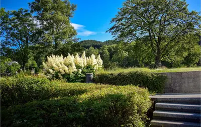 a garden with white bushes and stairs and trees at Awesome Home In Fitjar With Wifi in Fitjar