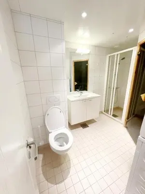a white bathroom with a toilet and a sink at Mountain retreat in Uvdal WIFI SAUNA in Uvdal