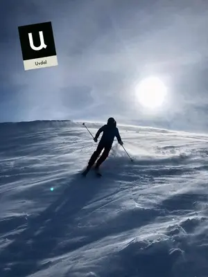 a person is skiing down a snow covered slope at Mountain retreat in Uvdal WIFI SAUNA in Uvdal