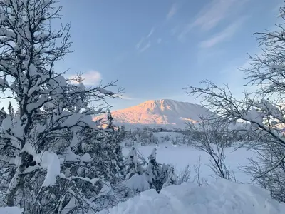 a mountain covered in snow with trees in the foreground at New apartment, Gausta in Rjukan. Ski in/ ski out in Rjukan