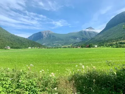 a green field with mountains in the background at Engen Gård in Innfjorden