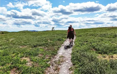 a person walking down a path in a field at Lovely Home In Tuddal With Jacuzzi in Tuddal