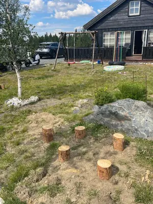 a park with a playground with a tree and logs at Sanderstølen Hytte in Tisleidalen