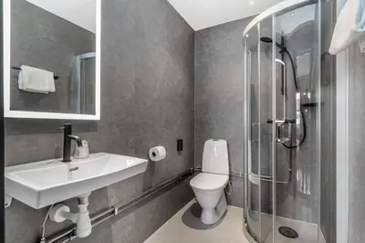 a bathroom with a toilet and a sink and a shower at Frich's Rudshøgda in Ringsaker