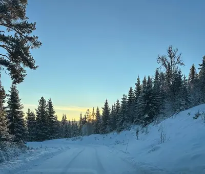 a snow covered road with trees on the side at ! Perfect Snow Condition! Beautiful Apartment at Skagahøgdi with Panoramic View in Gol