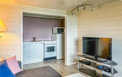 a living room with a television and a kitchen at 1 Bedroom Amazing Apartment In Øydegard in Aspa