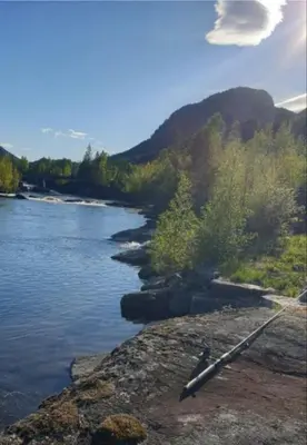 a view of a river with trees on the shore at Holiday Rooms in Gol