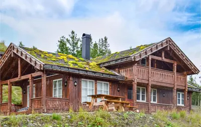 a log cabin with a grass roof at Cozy Home In Rjukan With Kitchen in Rjukan
