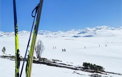 a group of people skiing on a snow covered slope at Awesome Home In Rauland With Wifi in Rauland
