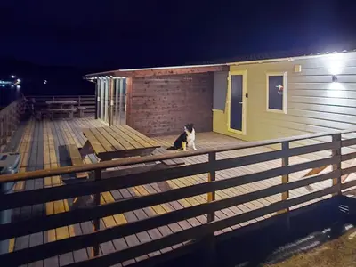 a cat sitting on a deck next to a building at 6 person holiday home in Tansøy-By Traum in Tansøy