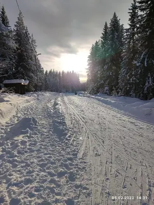 a snow covered road with tracks in the snow at Nordgards Hagen in Lillehammer
