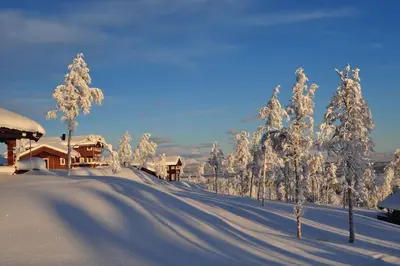 a snow covered road with trees and houses in the background at Flott fritidsleilighet i Bualie på Golsfjellet in Gol