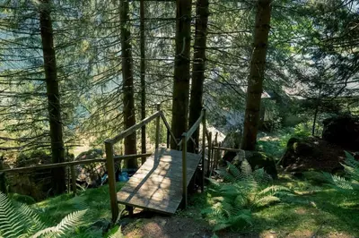 a wooden bench sitting in the middle of a forest at Modalen Fjord Cottage in Mo