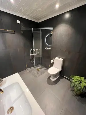 a bathroom with a toilet and a shower and a sink at Bualie Golsfjellet in Gol