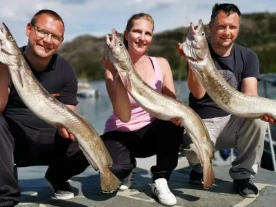 a group of people holding up six fish at 7 person holiday home in Huglo-By Traum in Nordhuglo