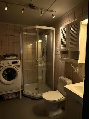 a bathroom with a shower and a toilet and a washing machine at Kozy apartment in Hemsedal, centrally located in Hemsedal