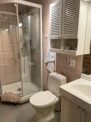 a bathroom with a toilet and a shower at Kozy apartment in Hemsedal, centrally located in Hemsedal