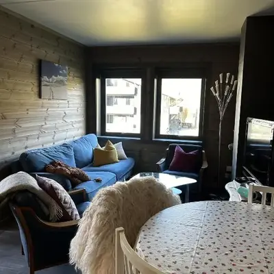 Kozy apartment in Hemsedal