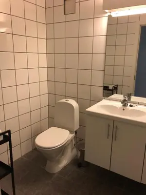 a bathroom with a toilet and a sink at Hemsedal Ulsåk in Torset