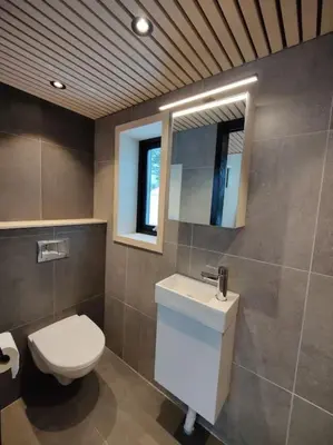 a bathroom with a toilet and a sink and a mirror at Minihuset ved skogen in Isfjorden