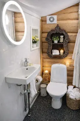 a bathroom with a toilet and a sink and a mirror at Traditional timber farm with Sauna & Wi-Fi in Baukål