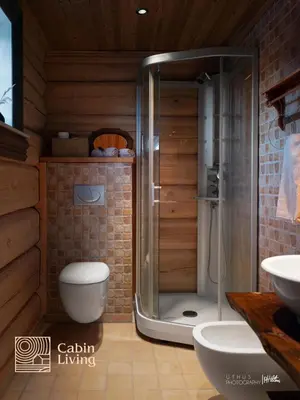 a bathroom with a shower and a toilet and a sink at Luxury Cabin at Nesfjellet with sauna, bbq, close to ski & golf in Nes i Ådal