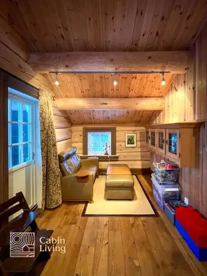 a living room with a couch and a table at Luxury Cabin at Nesfjellet with sauna, bbq, close to ski & golf in Nes i Ådal