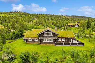 a log house with a grass roof on a green field at Luxury Cabin at Nesfjellet with sauna, bbq, close to ski & golf in Nes i Ådal