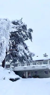 a snow covered building with a tree in front of it at Hyggelig leilighet i sentrum in Hemsedal