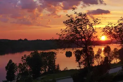 a sunset over a body of water with a tree at Small Basement Apartment Private Entrance Nice View in Fitjar