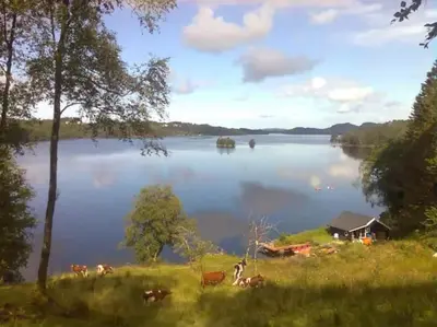 a view of a lake with a house and animals at Small Basement Apartment Private Entrance Nice View in Fitjar